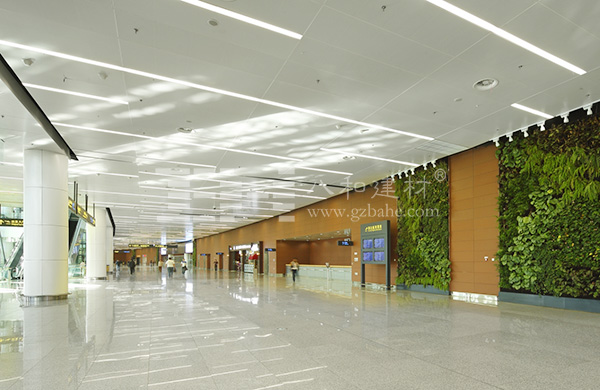 沈陽桃仙國際機(jī)場(chǎng)-鋁單板4